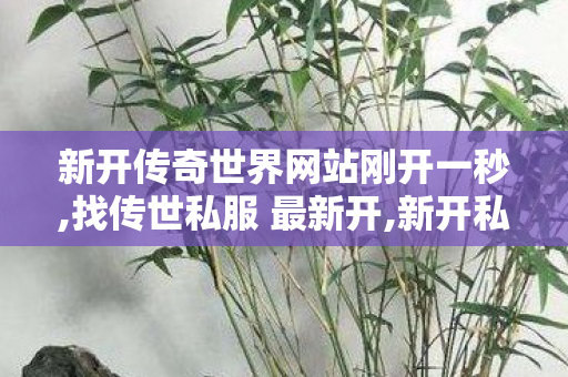 新开传奇世界网站刚开一秒,找传世私服 最新开,新开私服传世,找传世私服 最新开