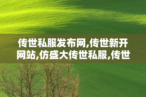 传世私服发布网,传世新开网站,仿盛大传世私服,传世新开网站