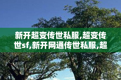 新开超变传世私服,超变传世sf,新开网通传世私服,超变传世sf