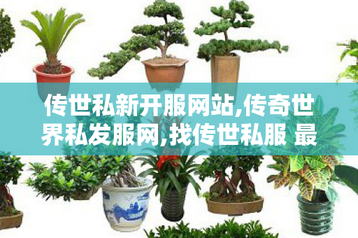 传世私新开服网站,传奇世界私发服网,找传世私服 最新开,传奇世界私发服网
