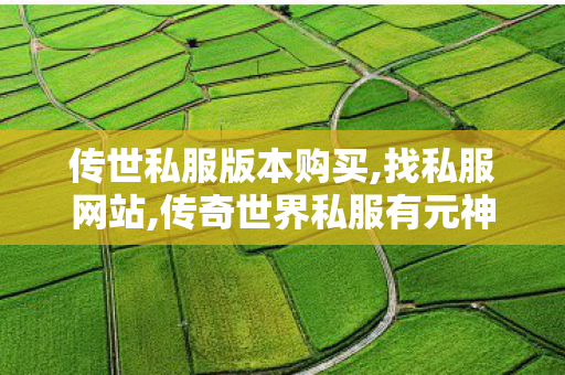 传世私服版本购买,找私服网站,传奇世界私服有元神,找私服网站