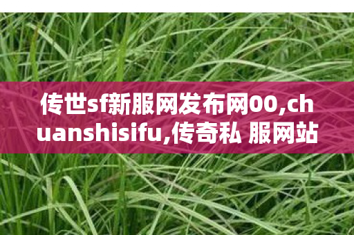 传世sf新服网发布网00,chuanshisifu,传奇私 服网站,chuanshisifu