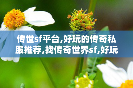 传世sf平台,好玩的传奇私服推荐,找传奇世界sf,好玩的传奇私服推荐