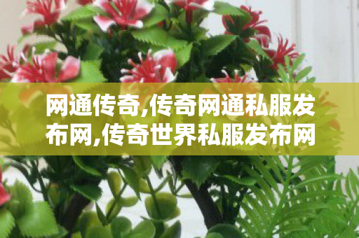 网通传奇,传奇网通私服发布网,传奇世界私服发布网,传奇网通私服发布网