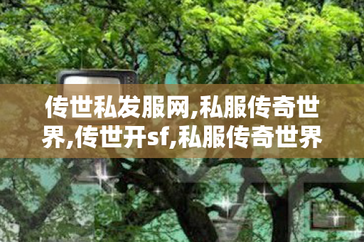 传世私发服网,私服传奇世界,传世开sf,私服传奇世界