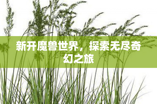 新开魔兽世界，探索无尽奇幻之旅