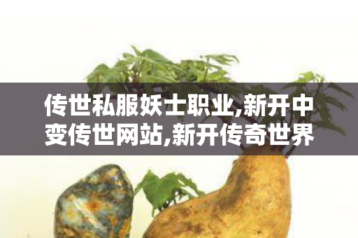 传世私服妖士职业,新开中变传世网站,新开传奇世界私服,新开中变传世网站