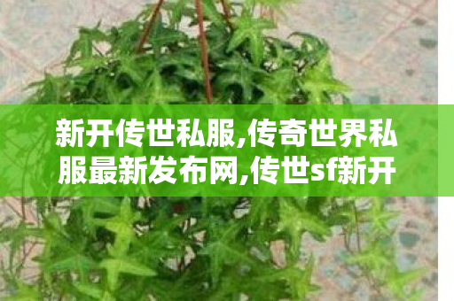 新开传世私服,传奇世界私服最新发布网,传世sf新开区,传奇世界私服最新发布网