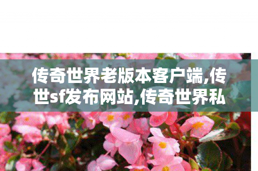 传奇世界老版本客户端,传世sf发布网站,传奇世界私服,传世sf网站,传世sf发布网站