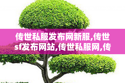 传世私服发布网新服,传世sf发布网站,传世私服网,传世sf发布网站