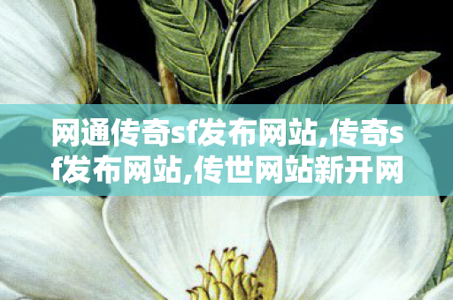 网通传奇sf发布网站,传奇sf发布网站,传世网站新开网,传奇sf发布网站