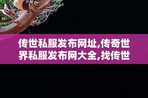 传世私服发布网址,传奇世界私服发布网大全,找传世私服,传奇世界私服发布网大全