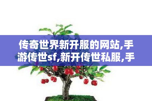 传奇世界新开服的网站,手游传世sf,新开传世私服,手游传世sf