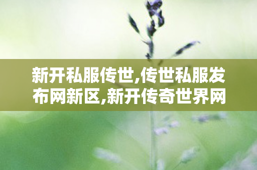 新开私服传世,传世私服发布网新区,新开传奇世界网站中变,传世私服发布网新区