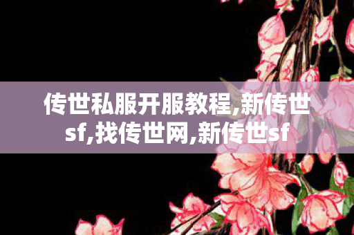 传世私服开服教程,新传世sf,找传世网,新传世sf