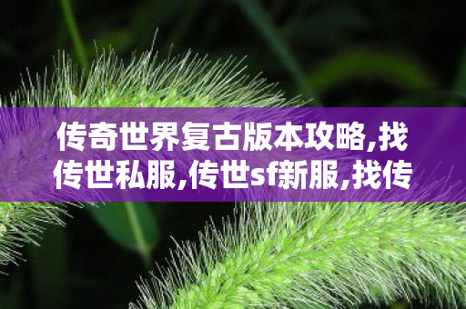 传奇世界复古版本攻略,找传世私服,传世sf新服,找传世私服