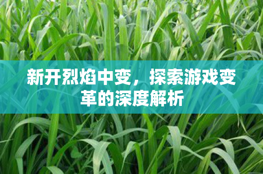 新开烈焰中变，探索游戏变革的深度解析