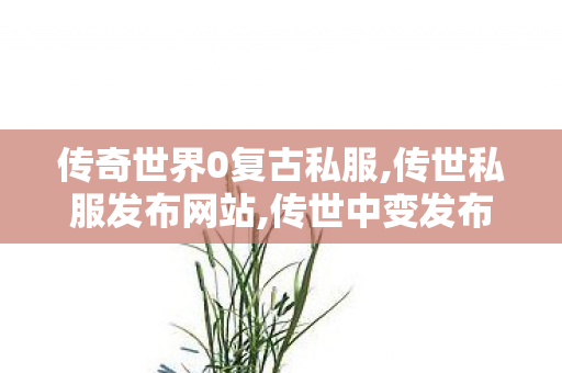 传奇世界0复古私服,传世私服发布网站,传世中变发布网,传世私服发布网站