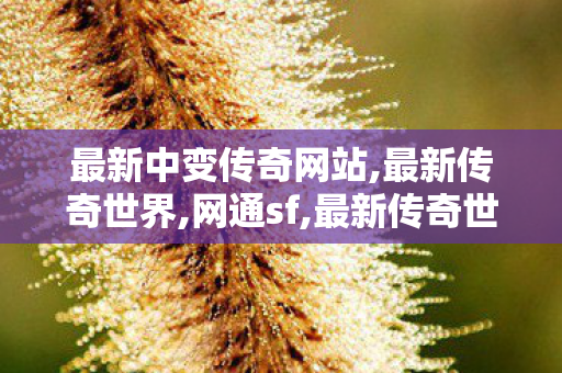 最新中变传奇网站,最新传奇世界,网通sf,最新传奇世界