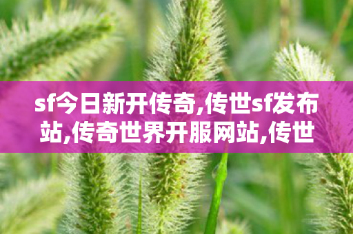 sf今日新开传奇,传世sf发布站,传奇世界开服网站,传世sf发布站