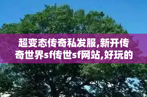 超变态传奇私发服,新开传奇世界sf传世sf网站,好玩的传奇私服推荐,新开传奇世界sf传世sf网站