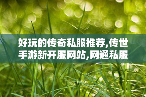 好玩的传奇私服推荐,传世手游新开服网站,网通私服发布网,传世手游新开服网站