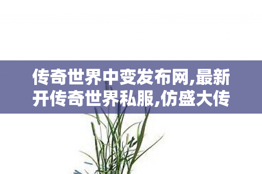 传奇世界中变发布网,最新开传奇世界私服,仿盛大传世私服,最新开传奇世界私服