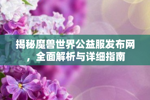 揭秘魔兽世界公益服发布网，全面解析与详细指南