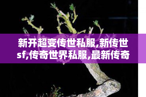 新开超变传世私服,新传世sf,传奇世界私服,最新传奇世界sf,新传世sf