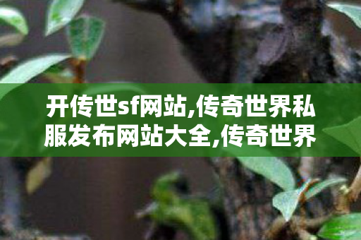 开传世sf网站,传奇世界私服发布网站大全,传奇世界最新版本,传奇世界私服发布网站大全