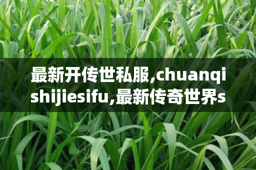 最新开传世私服,chuanqishijiesifu,最新传奇世界sf发布网,chuanqishijiesifu