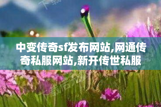 中变传奇sf发布网站,网通传奇私服网站,新开传世私服网站,网通传奇私服网站