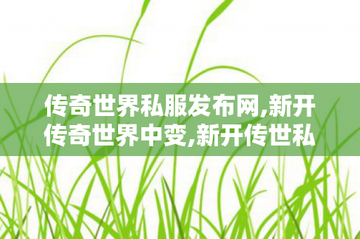传奇世界私服发布网,新开传奇世界中变,新开传世私服有元神,新开传奇世界中变