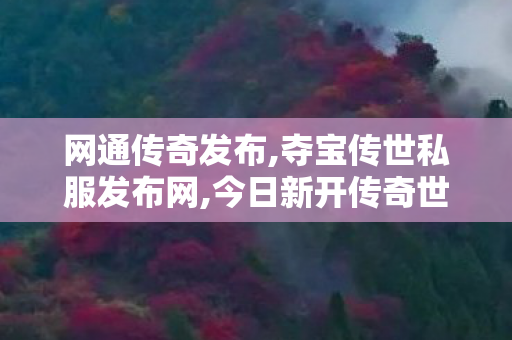 网通传奇发布,夺宝传世私服发布网,今日新开传奇世界sf,夺宝传世私服发布网