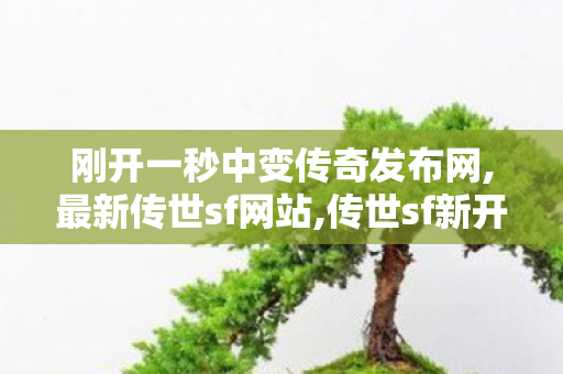 刚开一秒中变传奇发布网,最新传世sf网站,传世sf新开网站,最新传世sf网站