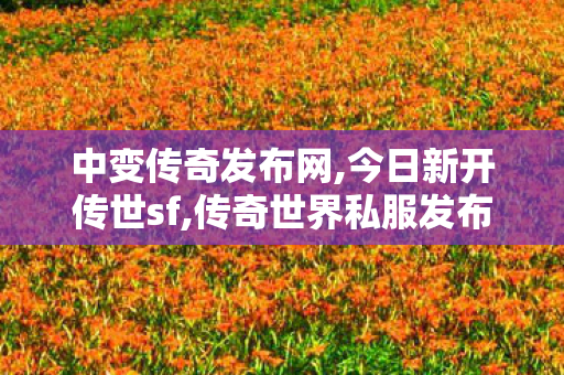 中变传奇发布网,今日新开传世sf,传奇世界私服发布网最新,今日新开传世sf
