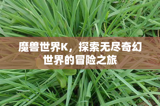 魔兽世界K，探索无尽奇幻世界的冒险之旅