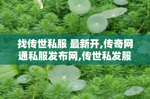 找传世私服 最新开,传奇网通私服发布网,传世私发服网,传奇网通私服发布网