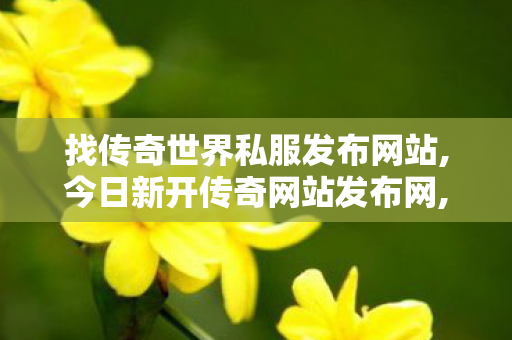 找传奇世界私服发布网站,今日新开传奇网站发布网,传世新开网站,今日新开传奇网站发布网