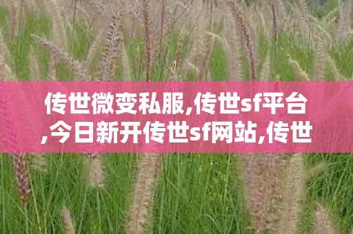 传世微变私服,传世sf平台,今日新开传世sf网站,传世sf平台