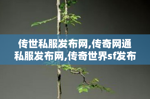 传世私服发布网,传奇网通私服发布网,传奇世界sf发布,传奇网通私服发布网