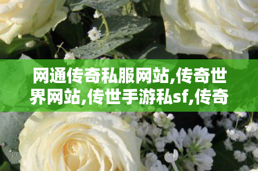 网通传奇私服网站,传奇世界网站,传世手游私sf,传奇世界网站