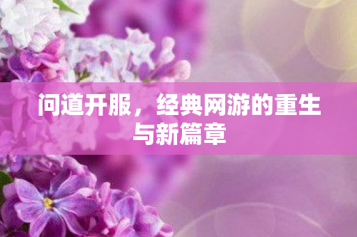 问道开服，经典网游的重生与新篇章