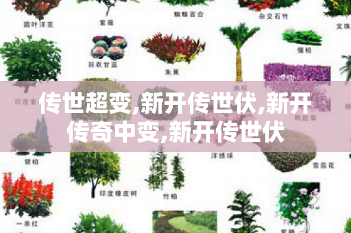传世超变,新开传世伏,新开传奇中变,新开传世伏