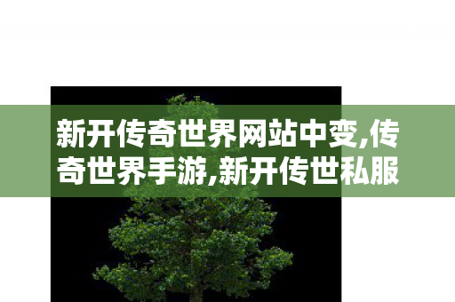新开传奇世界网站中变,传奇世界手游,新开传世私服开服表,传奇世界手游