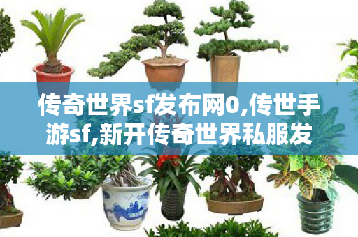 传奇世界sf发布网0,传世手游sf,新开传奇世界私服发布网站,传世手游sf
