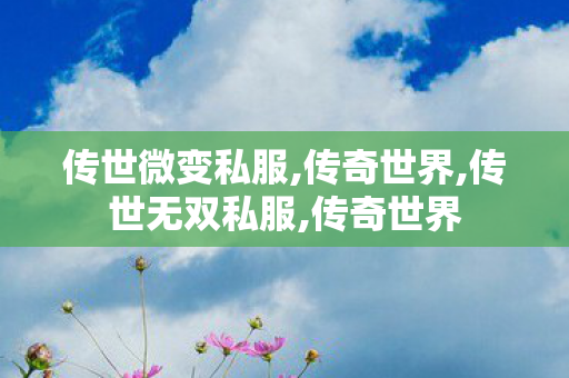 传世微变私服,传奇世界,传世无双私服,传奇世界