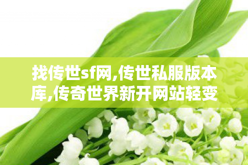 找传世sf网,传世私服版本库,传奇世界新开网站轻变,传世私服版本库