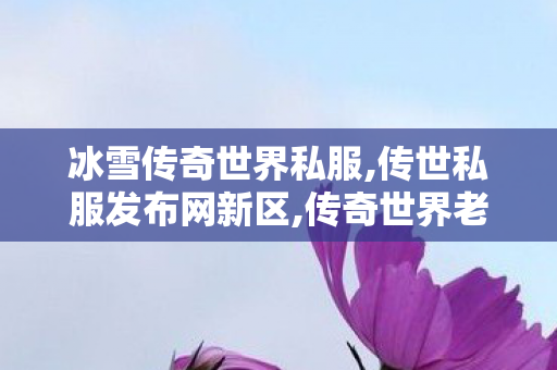 冰雪传奇世界私服,传世私服发布网新区,传奇世界老版本,传世私服发布网新区