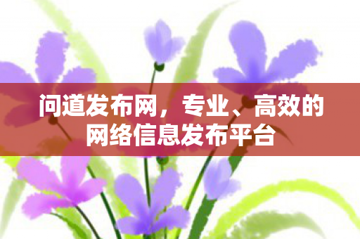 问道发布网，专业、高效的网络信息发布平台